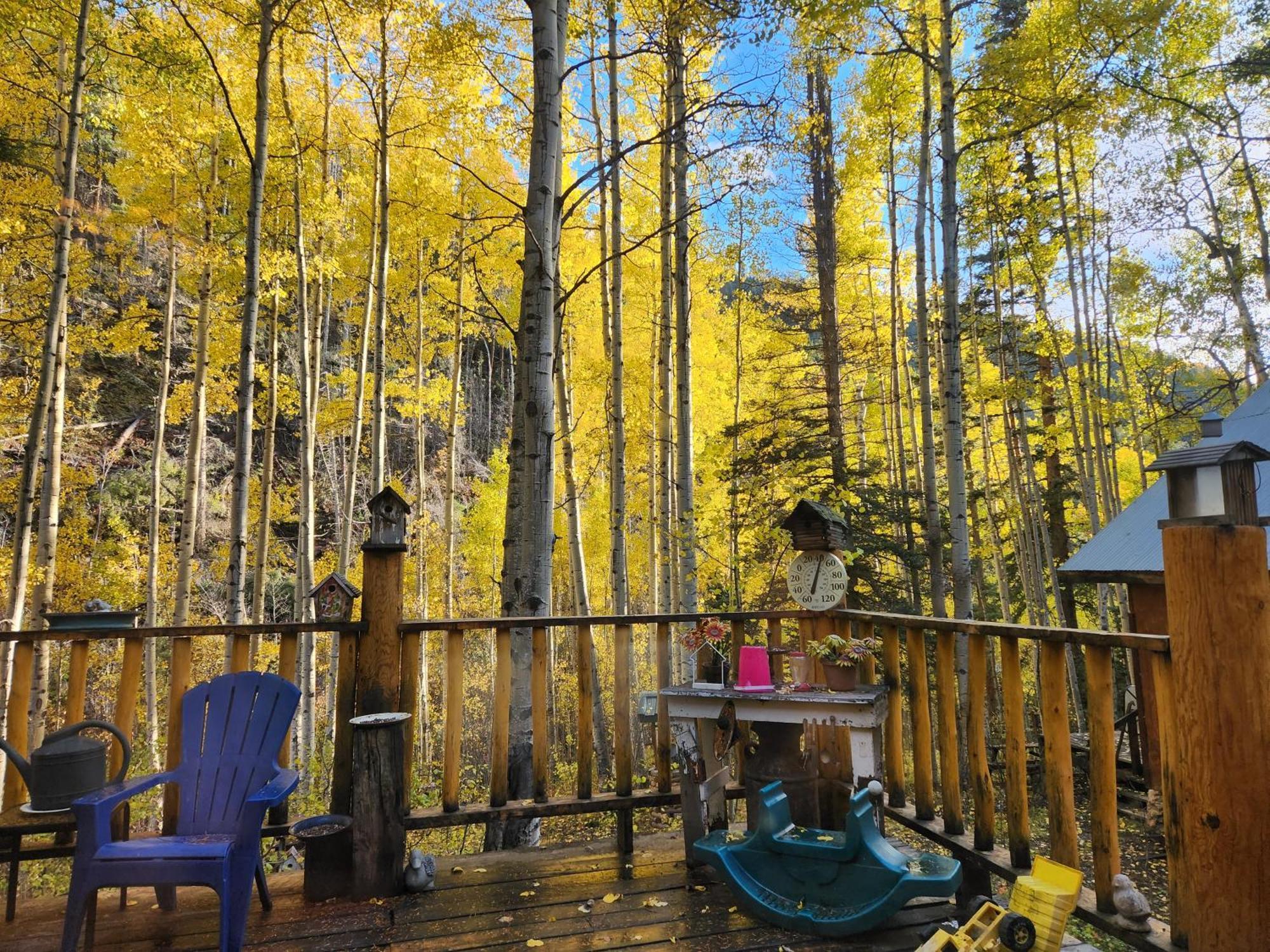 Cabin By The Creek With High Speed Wifi Red River Exterior photo